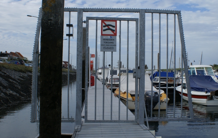  131.jpg