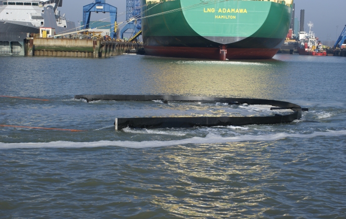  dsc01971.jpg